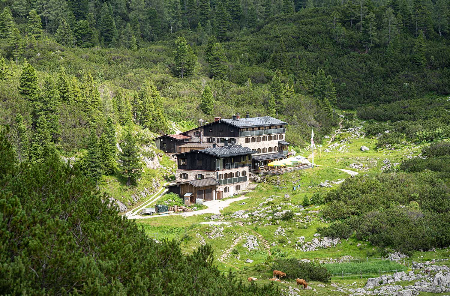 Neue Traunsteiner Hütte